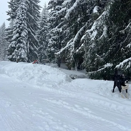 почивна база орлица