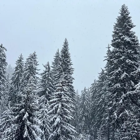 Szálloda почивна база орлица Pamporovo